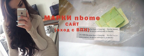 винт Алзамай