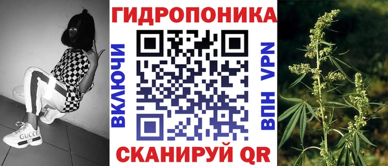 Каннабис VHQ как найти закладки Краснообск
